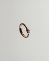 The Ouroboro Serpent Ring