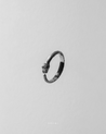 The Ouroboro Serpent Ring